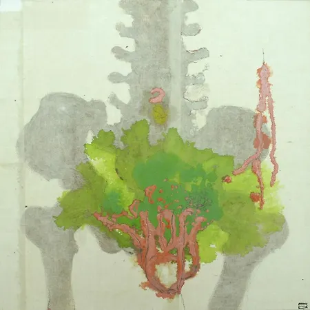 Bed & Breakfast Palazzo Boscareto - Di Charme In Centro Storico - Garage Moto, Box Bici